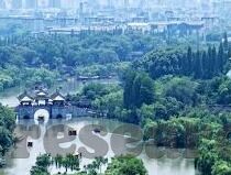 上届世界杯美国门将-上届世界杯美国门将，坚韧防守的幕后英雄