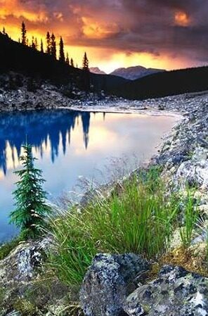 世界杯土耳其3比0中国-土耳其3比0中国，世界杯小组赛中的较量