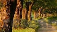 星空体育不出款-星空之下,体育的光芒不应暗淡,探讨体育平台资金滞留问题